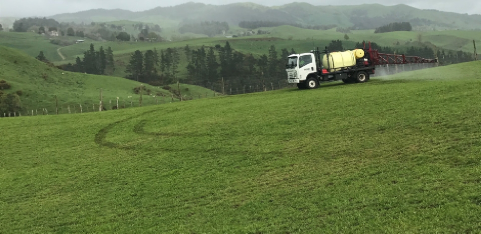 Ascend annual ryegrass is sprayed out by a spray truck, before a spring brassica crop is sown