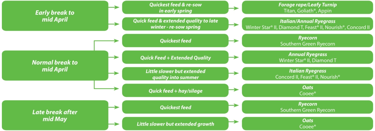 Decision tree identifying which winter feed crop will best meet timing and outcome requirements